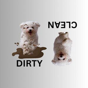 BICHON FRISE Clean Dirty Dishwasher Flexible Magnet
